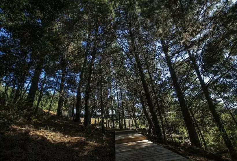 ホテル Pura Lodge