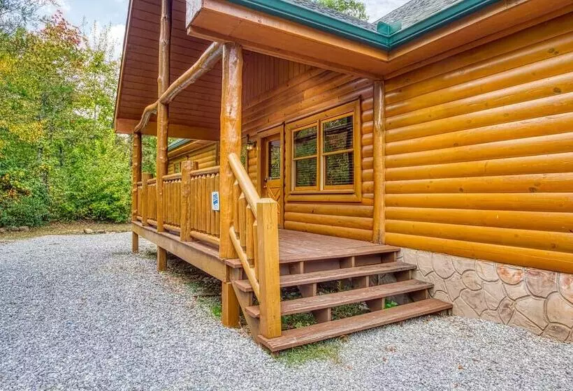 A New Beginning #522