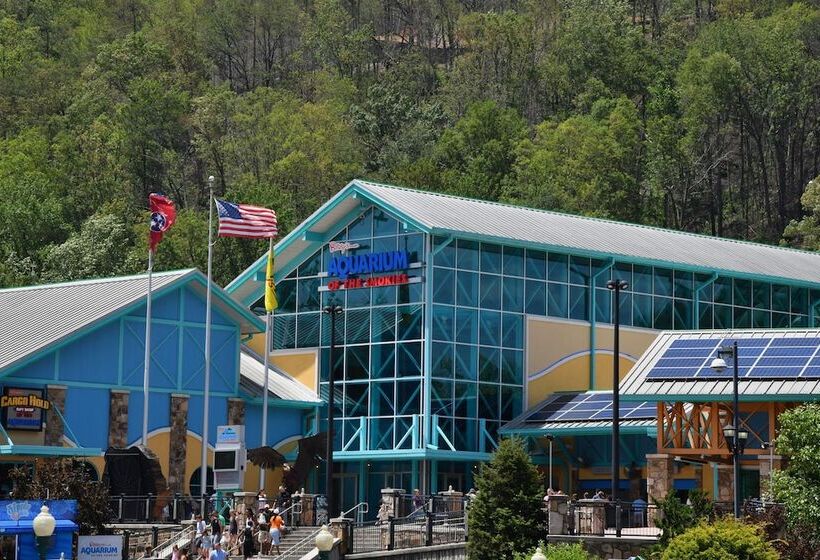 Angler S Perch #2523