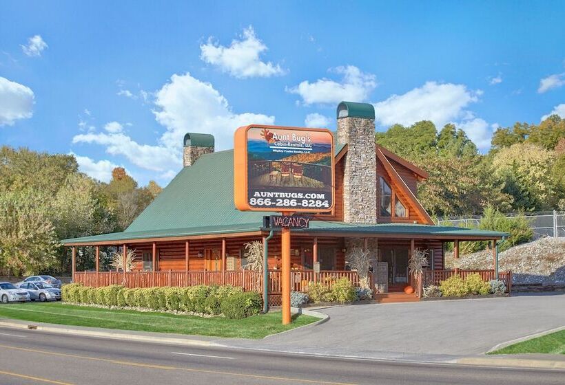 Angler S Perch #2523