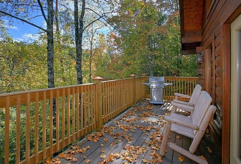 Boulder Bear Lodge #355