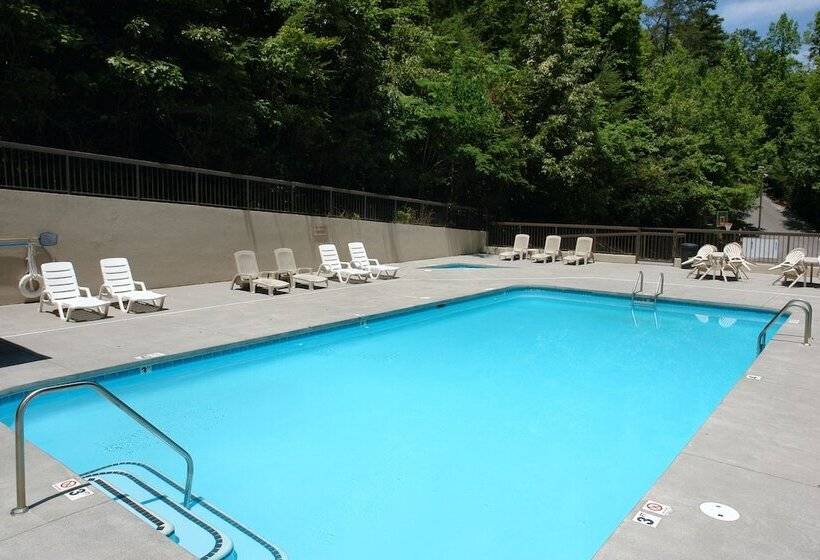 Boulder Bear Lodge #355