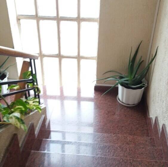 Hostal Restaurante Delfin