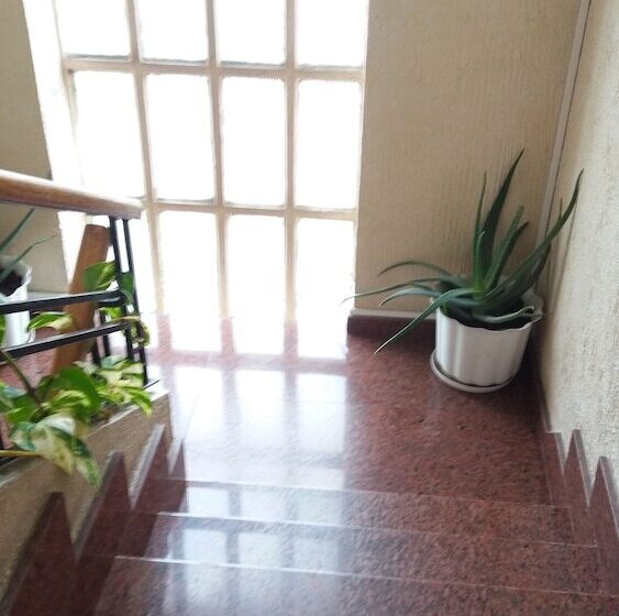 Hostal Restaurante Delfin