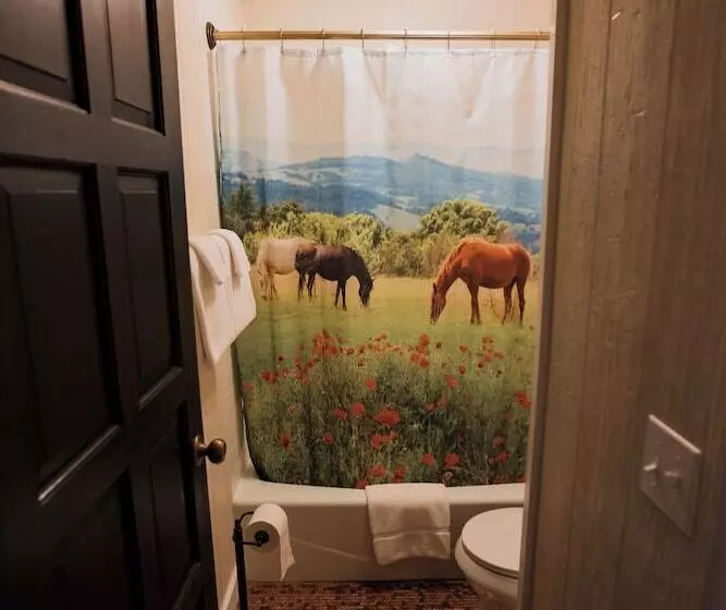 Hotelli The Viking Lodge   Downtown Winter Park, Colorado