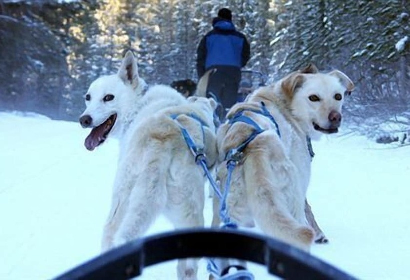 فندق The Viking Lodge   Downtown Winter Park, Colorado