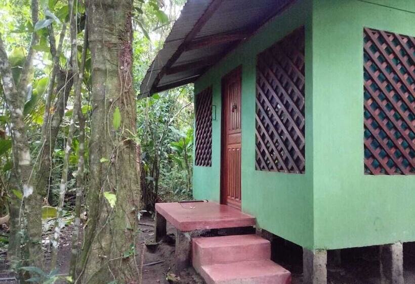 هتل Toucan & Tarpon