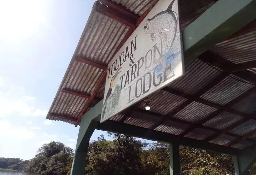 ホテル Toucan & Tarpon
