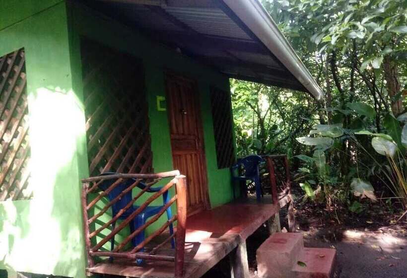 هتل Toucan & Tarpon