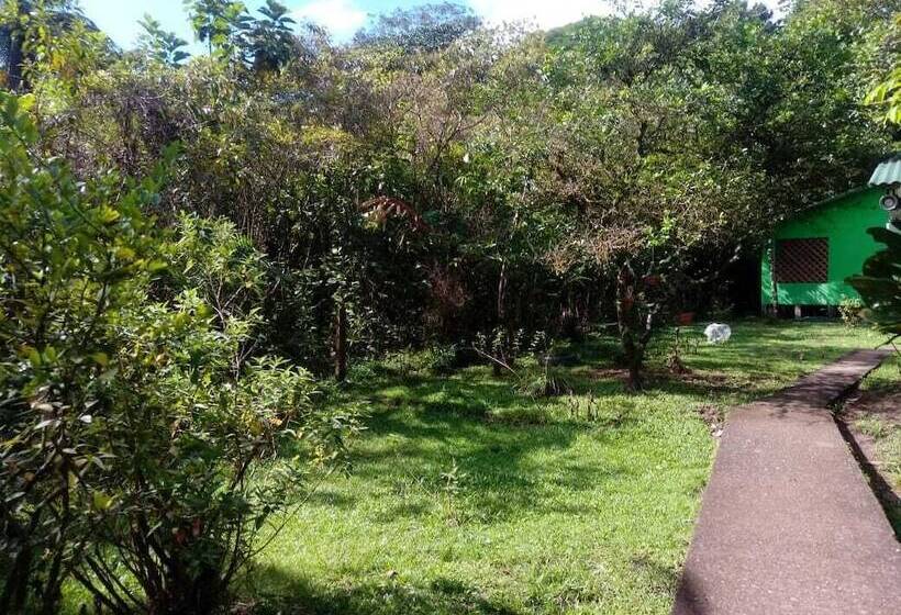 هتل Toucan & Tarpon