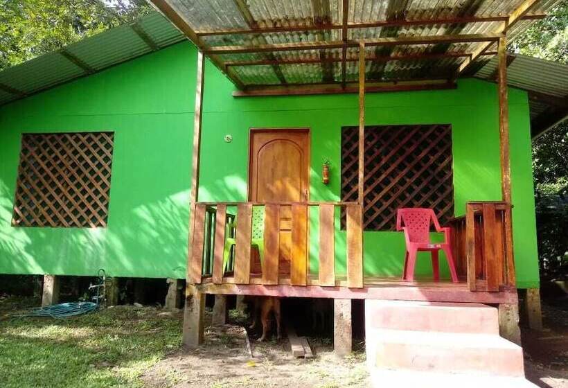 هتل Toucan & Tarpon