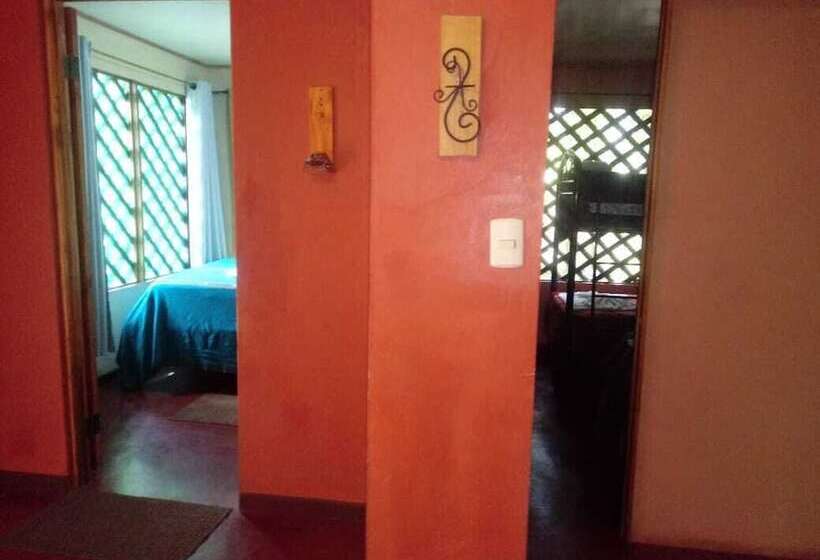 هتل Toucan & Tarpon