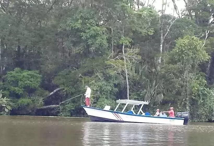 ホテル Toucan & Tarpon