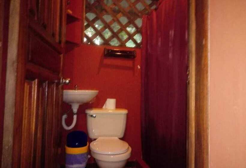 هتل Toucan & Tarpon