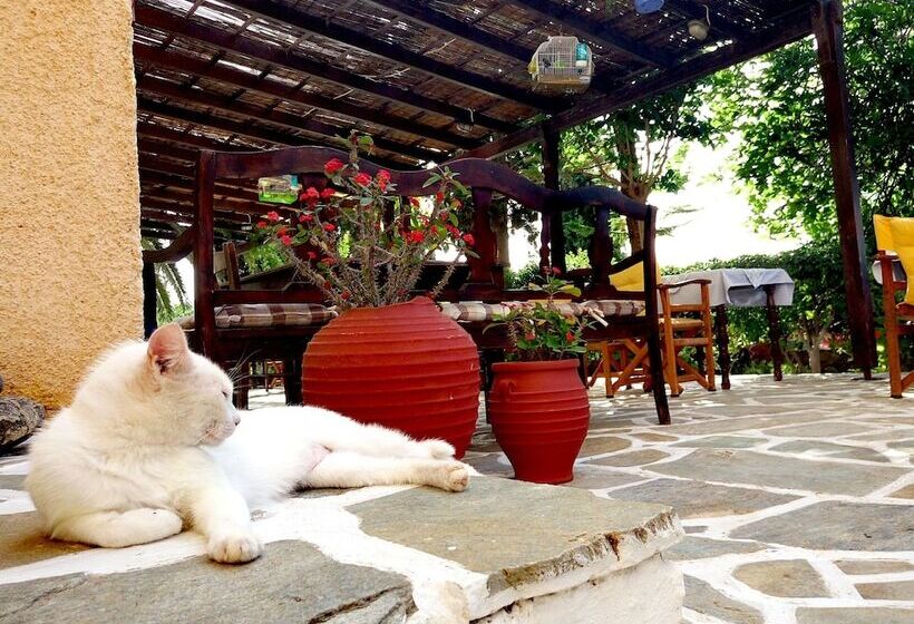 בית מלון כפרי Vagia Beach Apartments