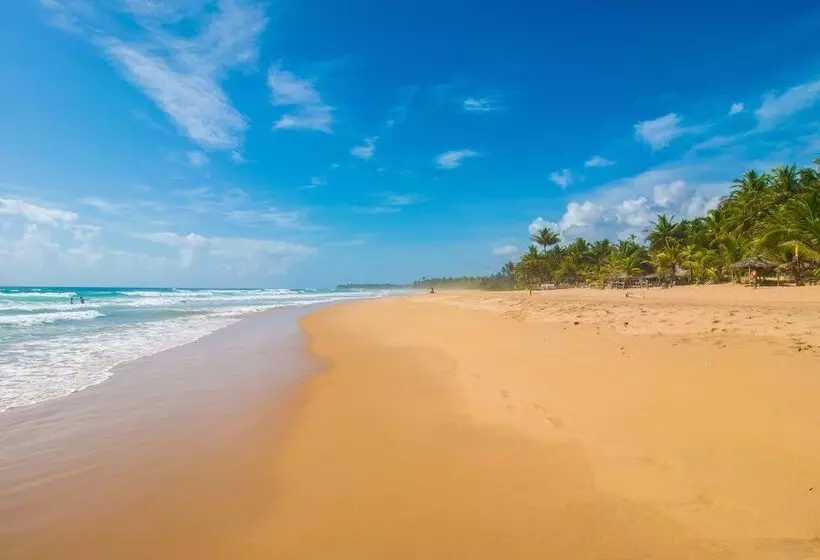 ホテル Dreamland Bungalows   Taipú De Fora   Barra Grande