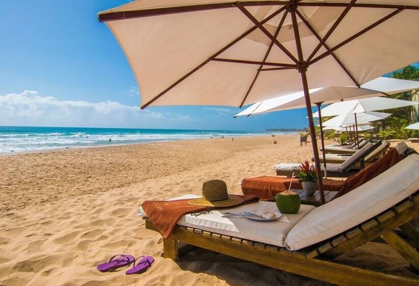 ホテル Dreamland Bungalows Taipú De Fora Barra Grande