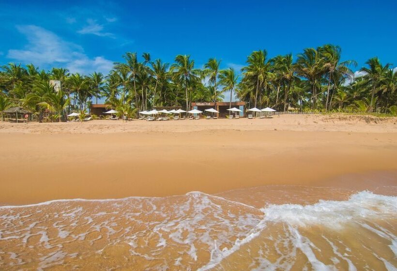 ホテル Dreamland Bungalows Taipú De Fora Barra Grande
