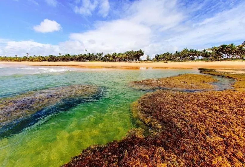 ホテル Dreamland Bungalows   Taipú De Fora   Barra Grande