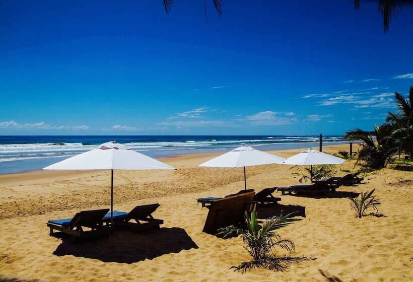 ホテル Dreamland Bungalows Taipú De Fora Barra Grande