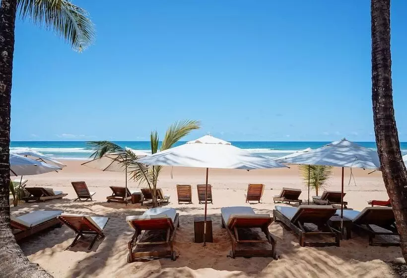 ホテル Dreamland Bungalows   Taipú De Fora   Barra Grande