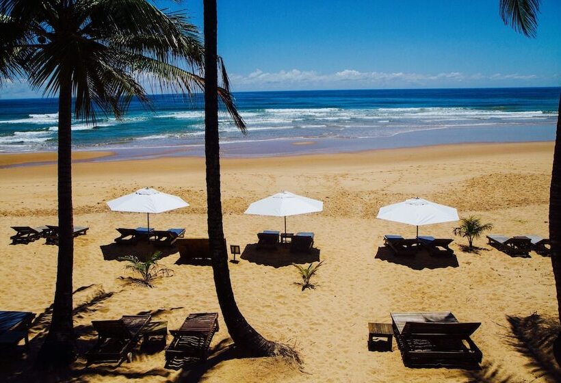 ホテル Dreamland Bungalows Taipú De Fora Barra Grande