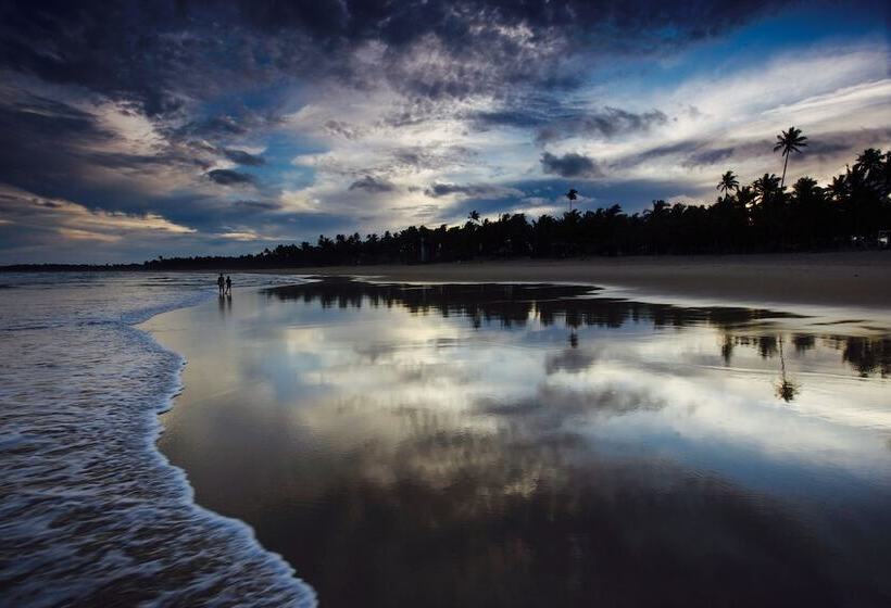 ホテル Dreamland Bungalows Taipú De Fora Barra Grande