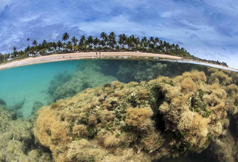 ホテル Dreamland Bungalows Taipú De Fora Barra Grande
