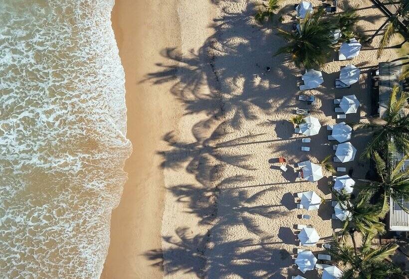 ホテル Dreamland Bungalows Taipú De Fora Barra Grande