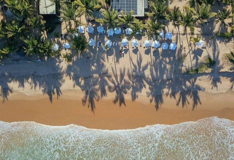 ホテル Dreamland Bungalows Taipú De Fora Barra Grande