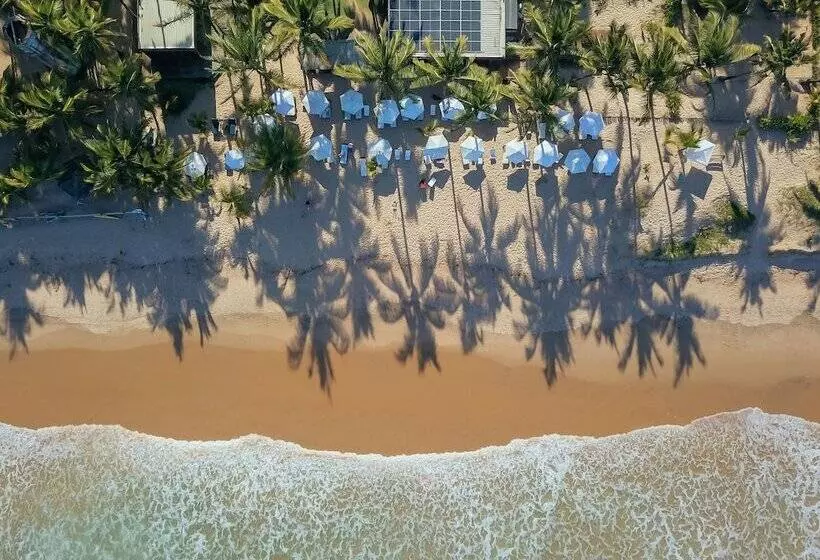 ホテル Dreamland Bungalows   Taipú De Fora   Barra Grande
