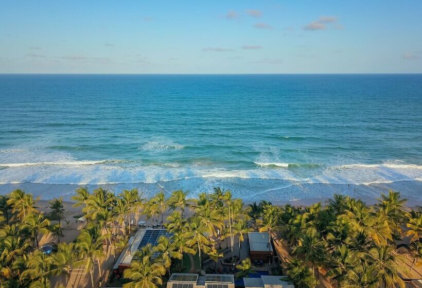 ホテル Dreamland Bungalows Taipú De Fora Barra Grande