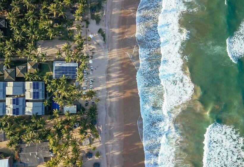 ホテル Dreamland Bungalows Taipú De Fora Barra Grande