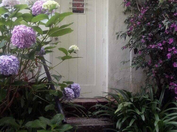 Pension La Lomita Del Chingolo