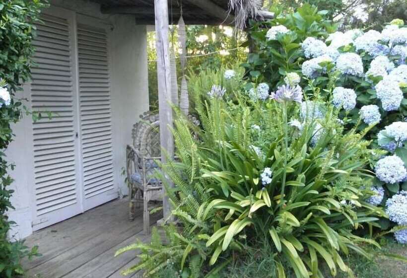 Pension La Lomita Del Chingolo