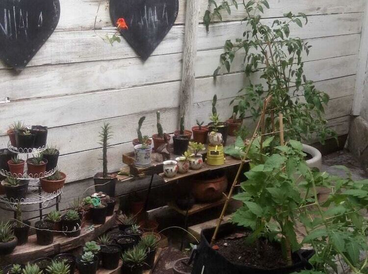 Pension La Lomita Del Chingolo