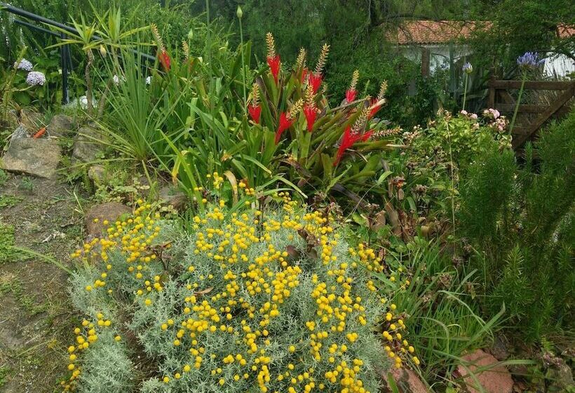 Pension La Lomita Del Chingolo