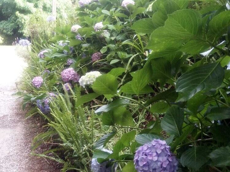 Pension La Lomita Del Chingolo