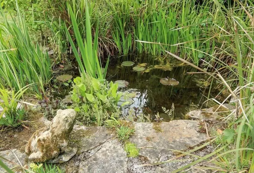 Lower Great Torr