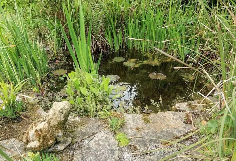 Lower Great Torr