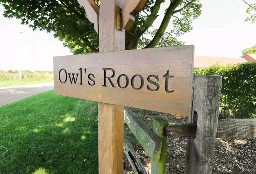 Owl S Roost
