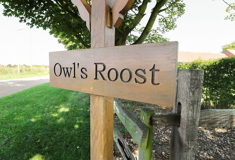 Owl S Roost