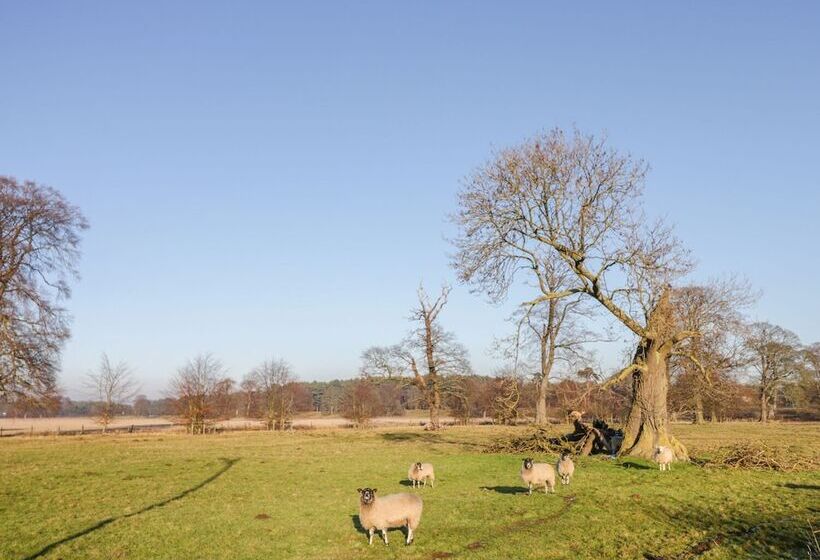 Pelham House Cottage