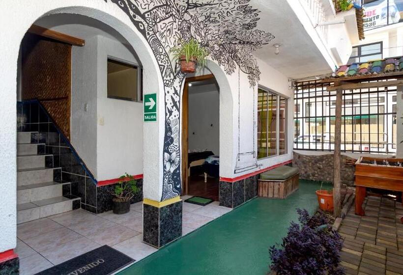 هاستل Santa Cruz Backpackers Hostal
