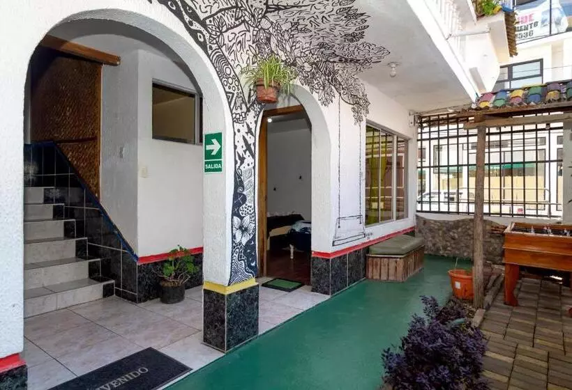 ユースホステル Santa Cruz Backpackers Hostal