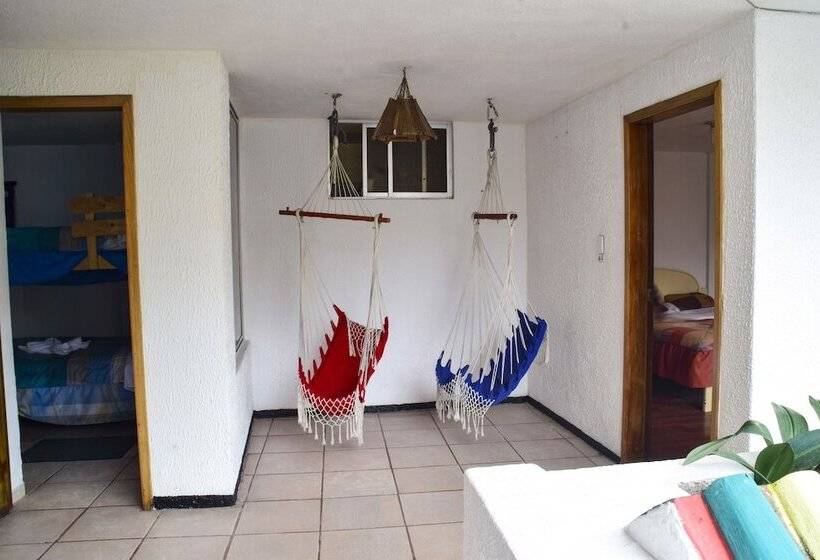 هاستل Santa Cruz Backpackers Hostal