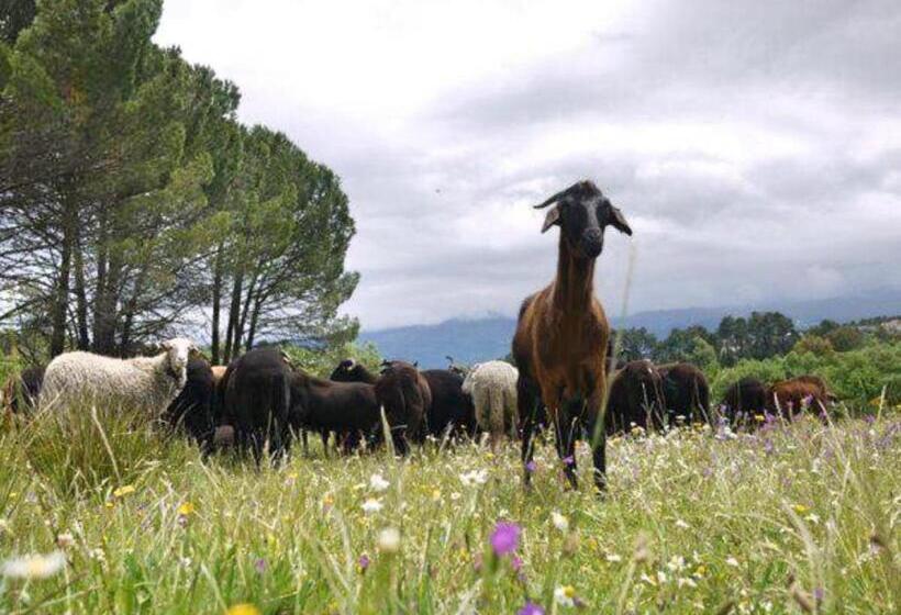 تختخواب و صبحانه Alojamento Santa Clara