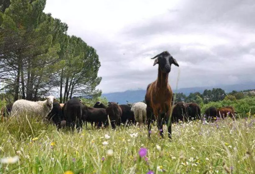 Aamiaismajoitus (B&B) Alojamento Santa Clara