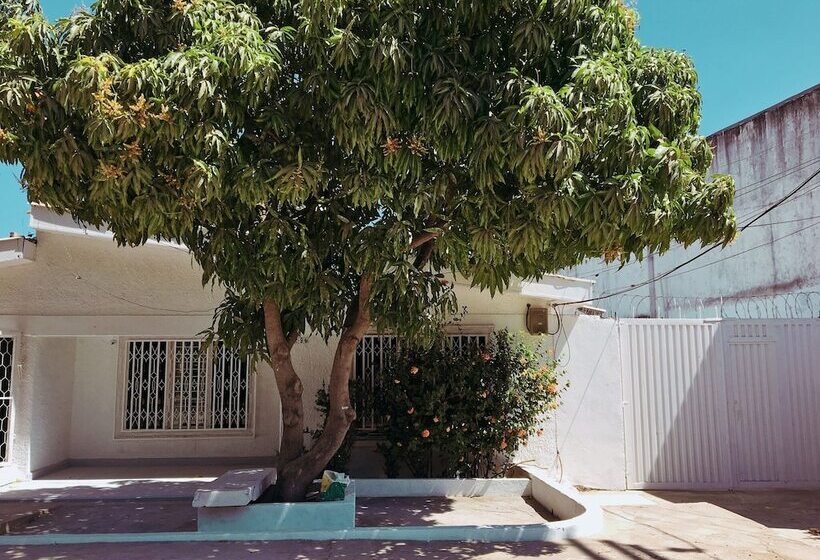 تختخواب و صبحانه Casa Zaida Hostal Vintage