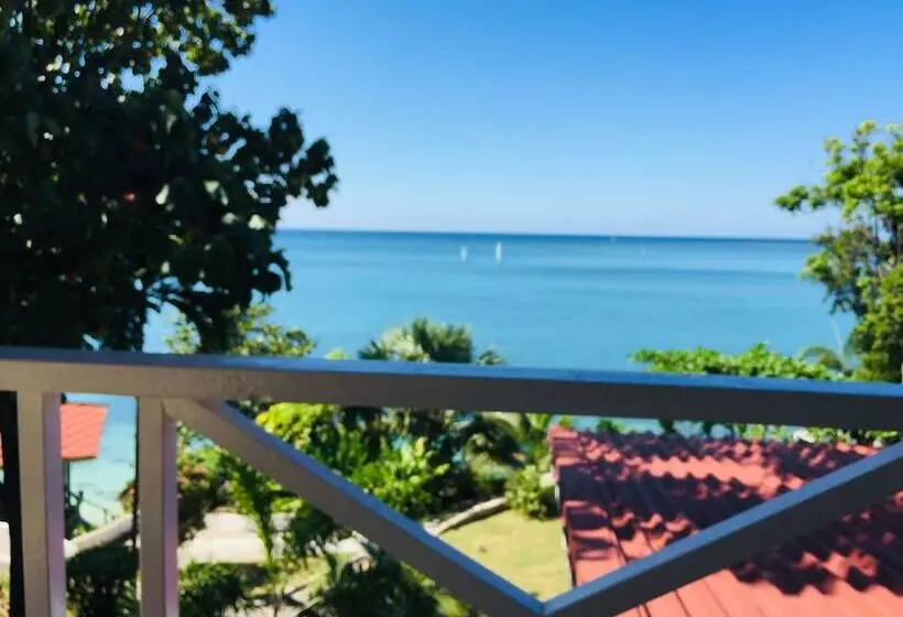 تختخواب و صبحانه Sorrel Bay Retreat Aka Natanias